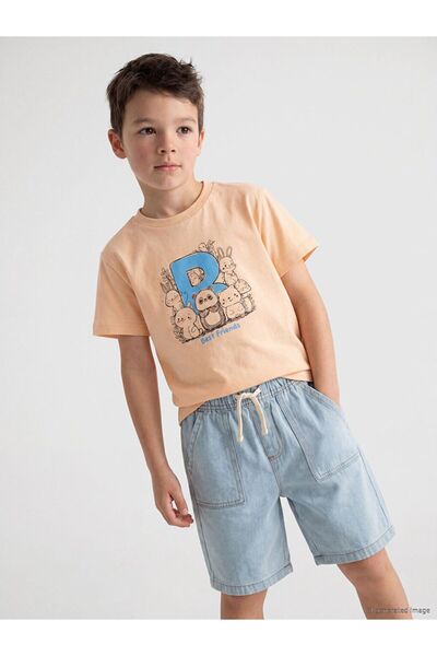 LC Waikiki Printed Boy's T-Shirt