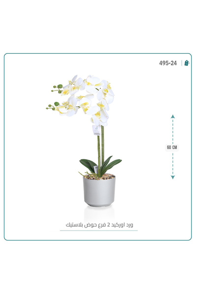 OEMS Artificial orchid flowers in a cylindrical plastic container {2 branches}