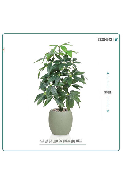 OEMS شتلة ورق مانجو حوض فيبر 24 فرع