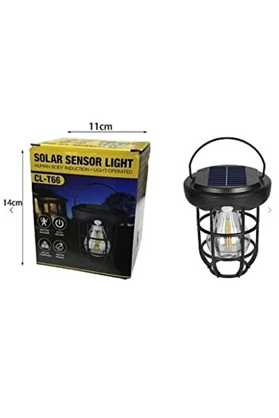 RXH Lampă Solară de Grădină 2 în 1 cu Montaj pe Sol și Perete