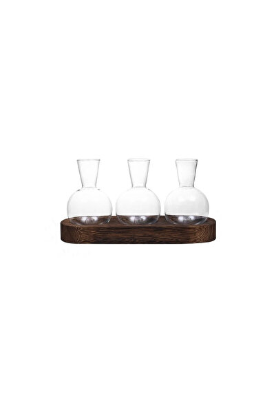 Choice1 3B Glass Terrarium for Plants with Wooden Tray – For indoor propagati...
