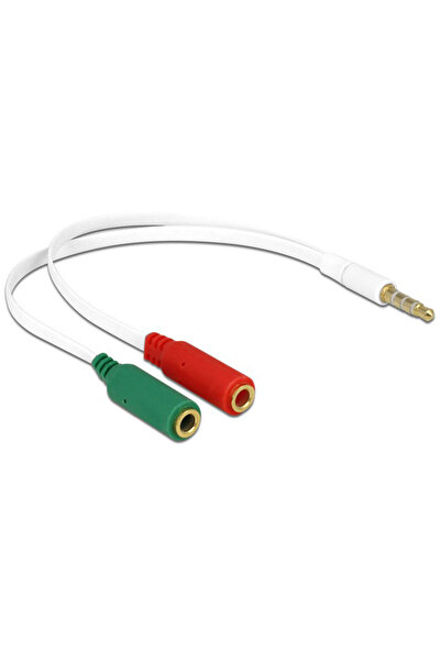 DELOCK καλώδιο 3.5mm 4-pin σε 2x 3.5mm 3-pin θηλυκό 65447, λευκό