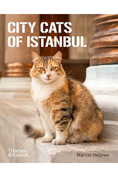 Pandora Kitabevi City Cats of Istanbul (Paperback) - Marcel Heijnen