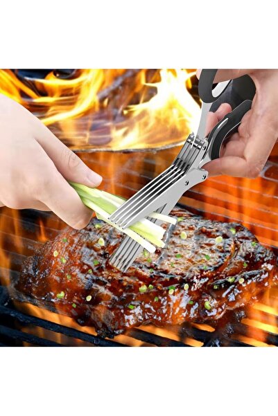 Home Stainless Steel Multi-Blade Parsley, Onion and Vegetable Chopping Scissors