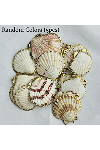 Choice Random Colors-5pcs 5pcs 40-50mm Shell-Shaped Pendants Natural Shell Ch...