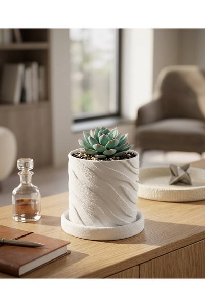 The Lucky Store Modern Sukulent Saksısı – Minimal Dekoratif Saksı