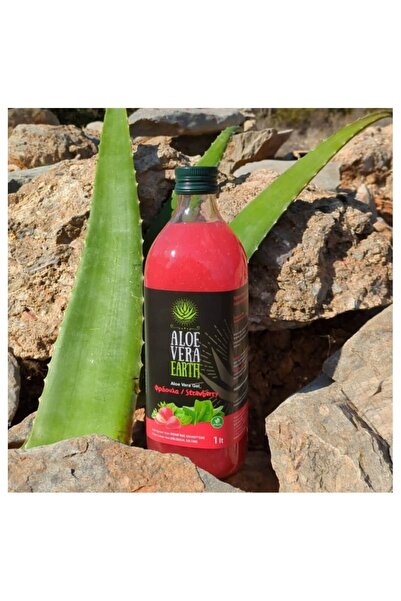 Aloe Vera Gel – Aromă de căpșuni (cu bucăți de aloe) |   1000ml