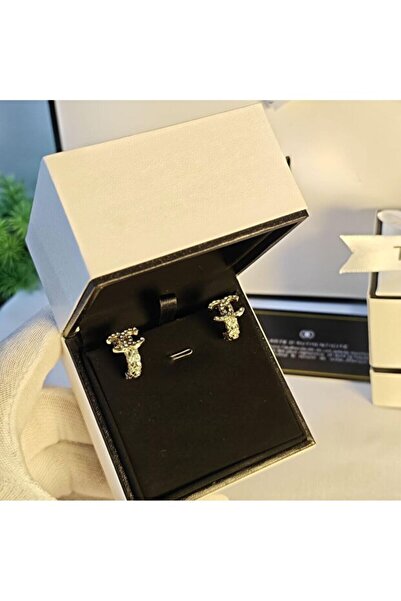 Glamour Galore Luxury Women's Earrings with Accessories