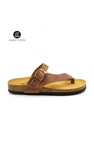 PLAKTON 185446 Apure Roble