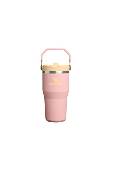 Stanley The IceFlow™ Flip Straw 2.0-