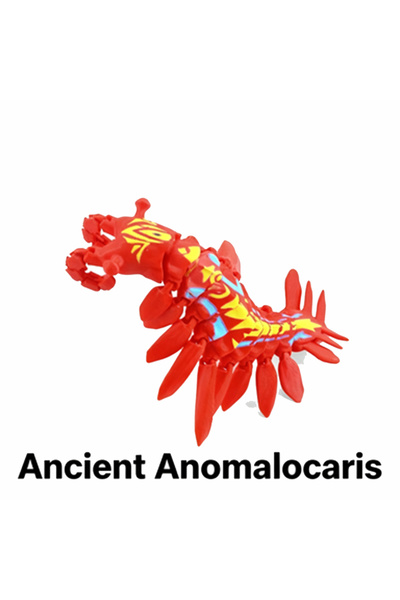 Choice3 Anomalocaris Flexible 3D Printed Sea Creature Fidget Toys Articulated...