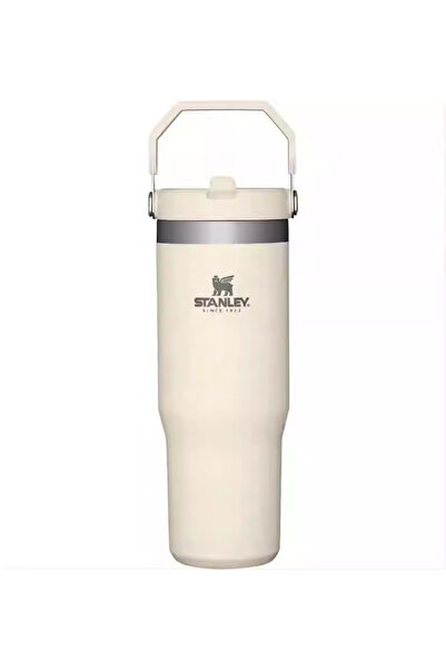 Generic Stanley Style 30 oz Insulated Travel Tumbler with Handle & Straw Lid ...