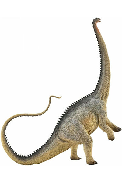 Collecta Diplodocus Pentru 3+ ani 19.4cm