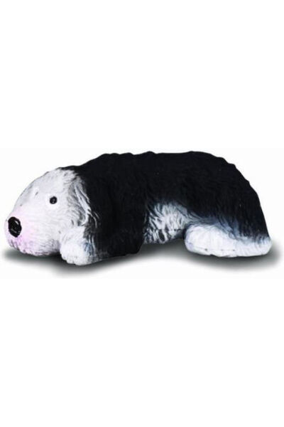 Collecta Pui de Ciobănesc Englezesc Vechi