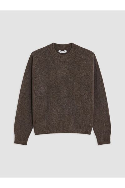 LC Waikiki Lcwaikiki Classic Brown Crew Neck Oversize Women's Knitwear Sweater