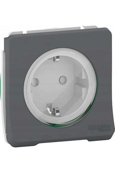 Schneider Electric Priză electrică gri 1 buc.