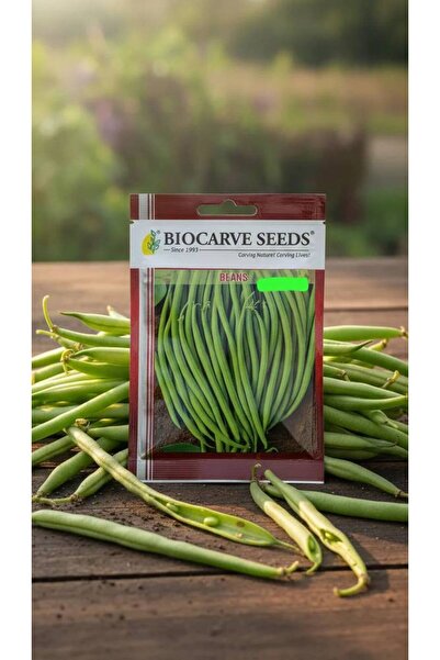 OEMS Beans Long green
