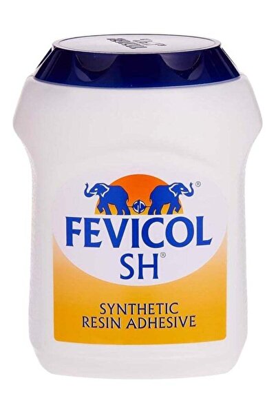 Fevicol Glue 1 kg