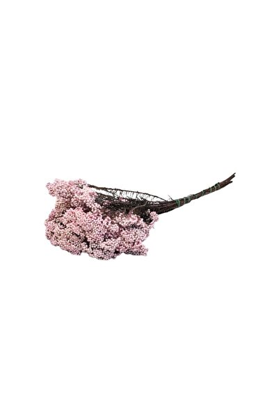 MC Micostore Foliage Diosmi, punga 1 buc, Colorarte