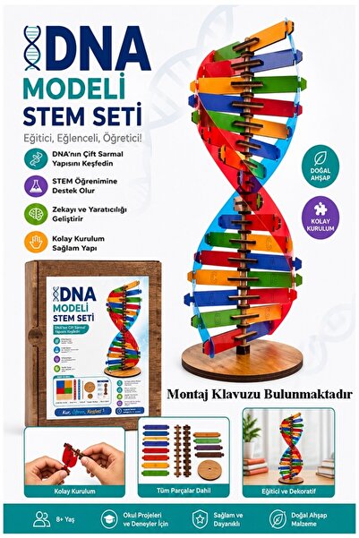 Artlantis Dna Modeli 1 Paket Ahşap DNA Yapım Seti Dna Sarmalı Deney Yapım Set...