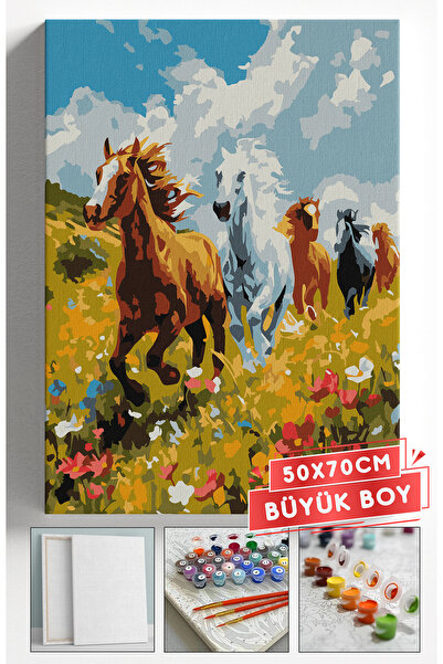 Akihabara Sayılarla Boyama Hobi Seti Çerçeveli Numaralı Tuval Fırça Boya Dahi...
