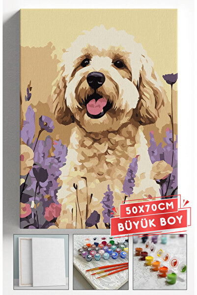 Akihabara Sayılarla Boyama Hobi Seti Çerçeveli Numaralı Tuval Fırça Boya Dahi...