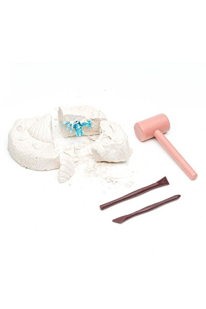 CLEMENTONI Kit de excavare a fosilelor de animale marine – Cutie surpriză