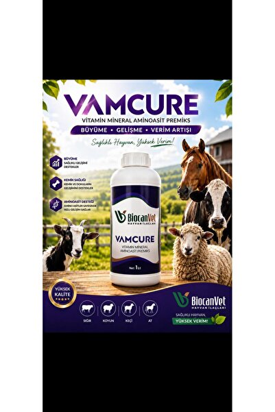 VAMCURE 1LT