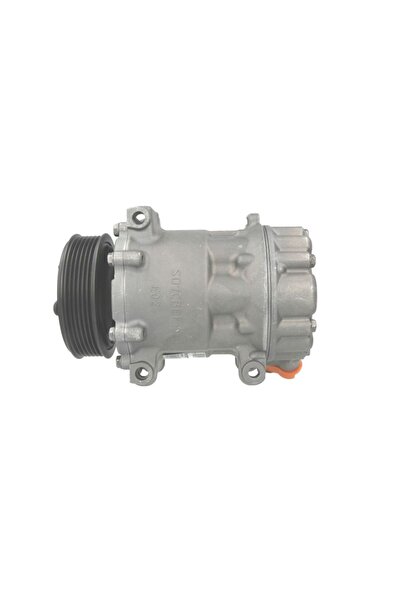 Airstal Compresor de Aer Conditionat (remanufacturate Profesional) Ds Ds 5 Ci...