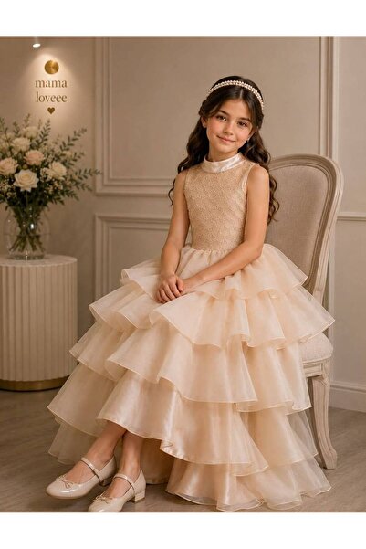 Calissa Store Girl's Dress for Occasions with Layers of Organza and Embroider...