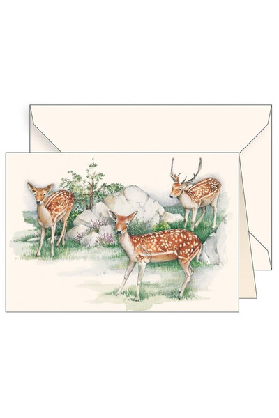 Tassotti Felicitare (karnet) B6 121x183 mm, hartie 200 g/m², cu plic si folie...
