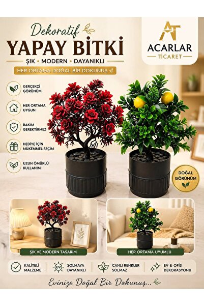 Acarlar Ticaret 2'li Saksı Yapay Bitki Seti – Dekoratif Saksılı Modern Bitki