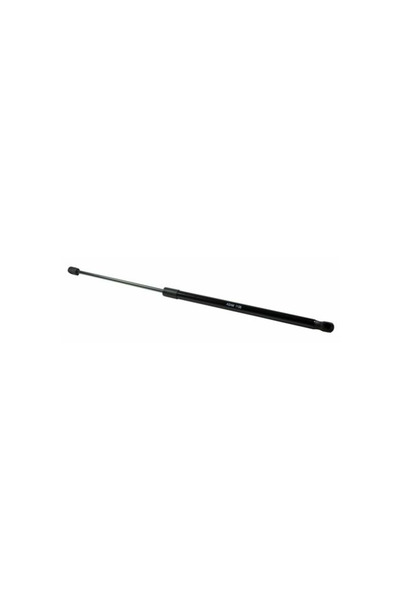 RapidAuto Amortizor hayon Dacia Sandero I Hatchback 2008-2014 si Logan MCV, C...
