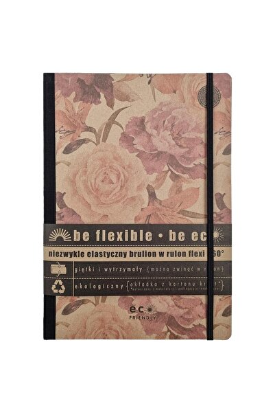 OEM Set 10 caiete, Ziemia Obiecana, 96 file, Multicolor