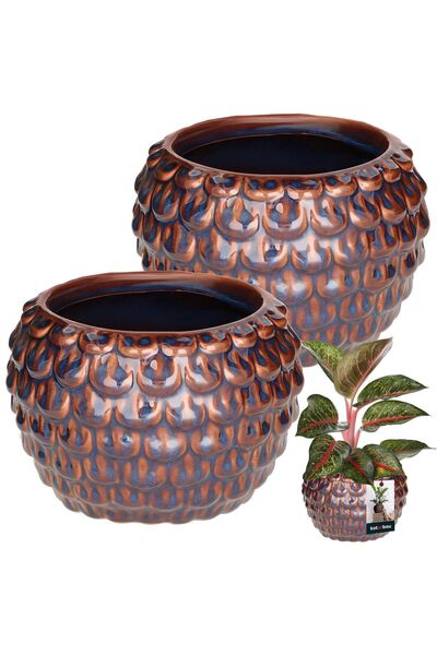 KOTARBAU 2 buc. Ghiveci artistic de flori 17 cm, cu înveliș maro, ceramică vi...