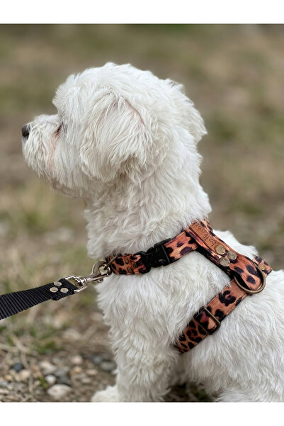 balkonda Dog Chest Collar H Type Small and Tiny Breeds Adjustable Column Cord...