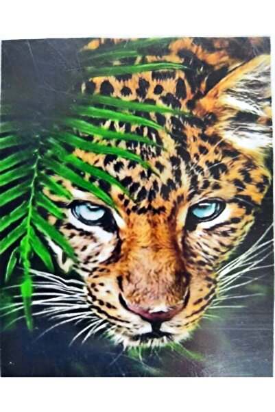 LİVA CRAFT Art & Craft Diamond Mosaic Painting, 30X40 Leopard Bead Gluing Kit