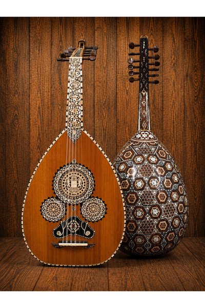 KARAZ MUSIC Professional Shell Musical Instrument (Warm Canadian Cedar Top - ...