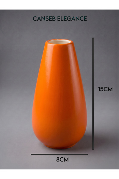 CANSEB Elegance Modern Vase - Hand-Painted Craftsmanship - Premium - (Measure...