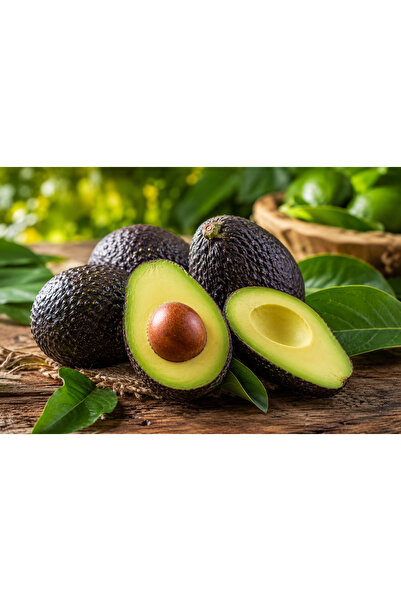 TROPİBOXALANYA HAS AVOKADO İTHAL 1 KG