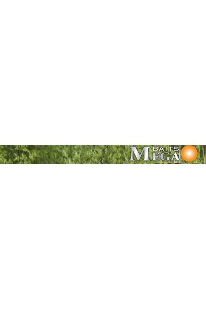 NO BRAND DRAGON MegaBAITS Tactix Pole 600 6m