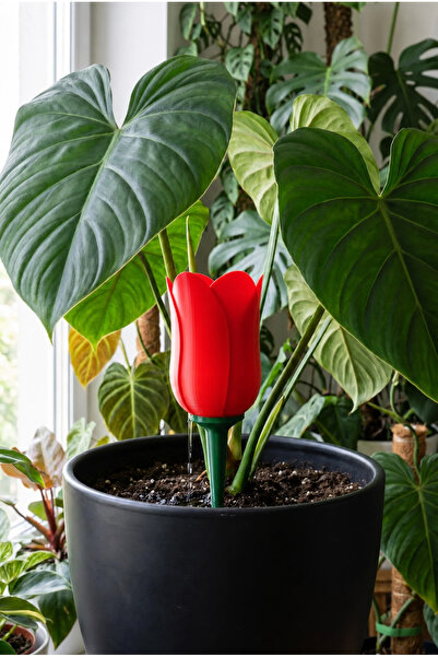 Decorstation Bitki Sulama Kabı Damıtma Formülü Kırmızı Lale Görünümlü