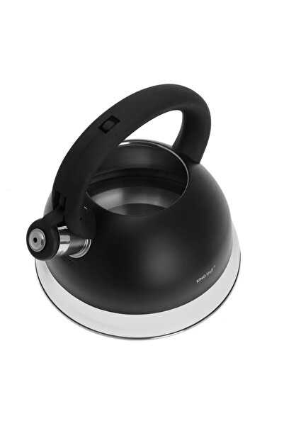 NO BRAND Fierbător cu fluier de 3 L, pentru inducție și gaz, din oțel negru
