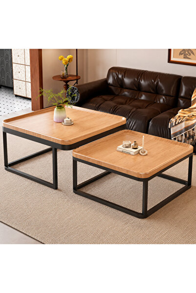 KEKE Modern Luxury Coffee Table for Living Room, High-End Tea Table with Cont...