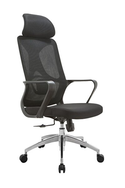 Fatio Breathable Ergonomic Mesh Office Chair | Chrome Base & Lumbar Support