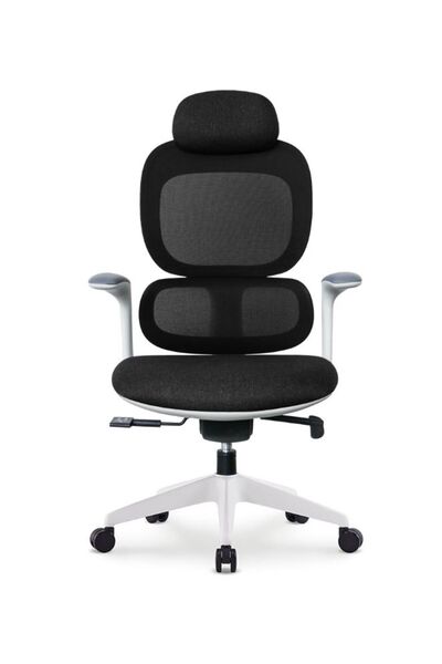 Fatio Modern Executive Ergonimic Office Chair With Sliding Seat and Headrest,...