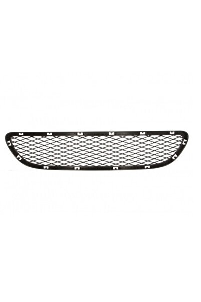 EXP Grila bara fata mijloc BMW seria 3 E90, E91