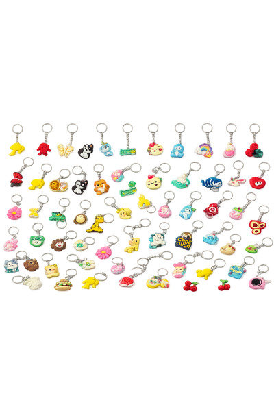 DeNors Set of 5 Colorful Silicone Keychains – Mixed Model Delivery – Bag and ...
