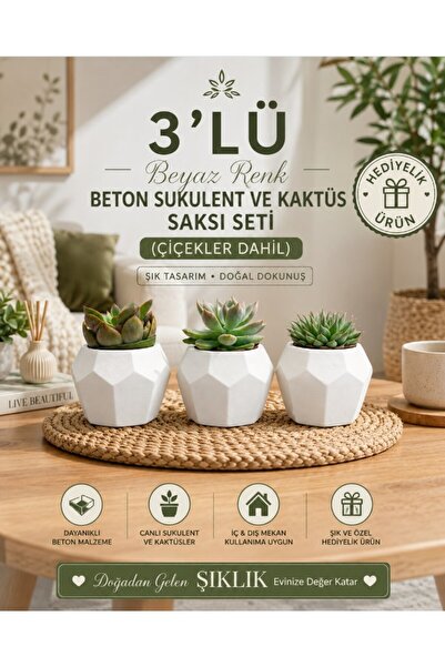 Hep İndirimli Hediyelik 3'lü Beyaz Renk Beton Sukulent Ve Kaktüs Saksı Seti (...
