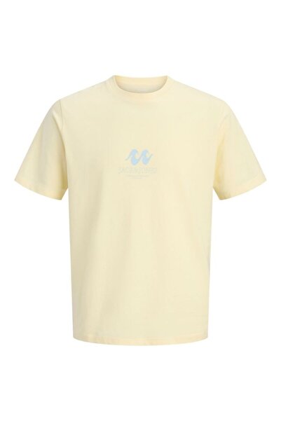 Jack & Jones Jorhyeres tee ss crew neck fst.